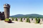 Topiary